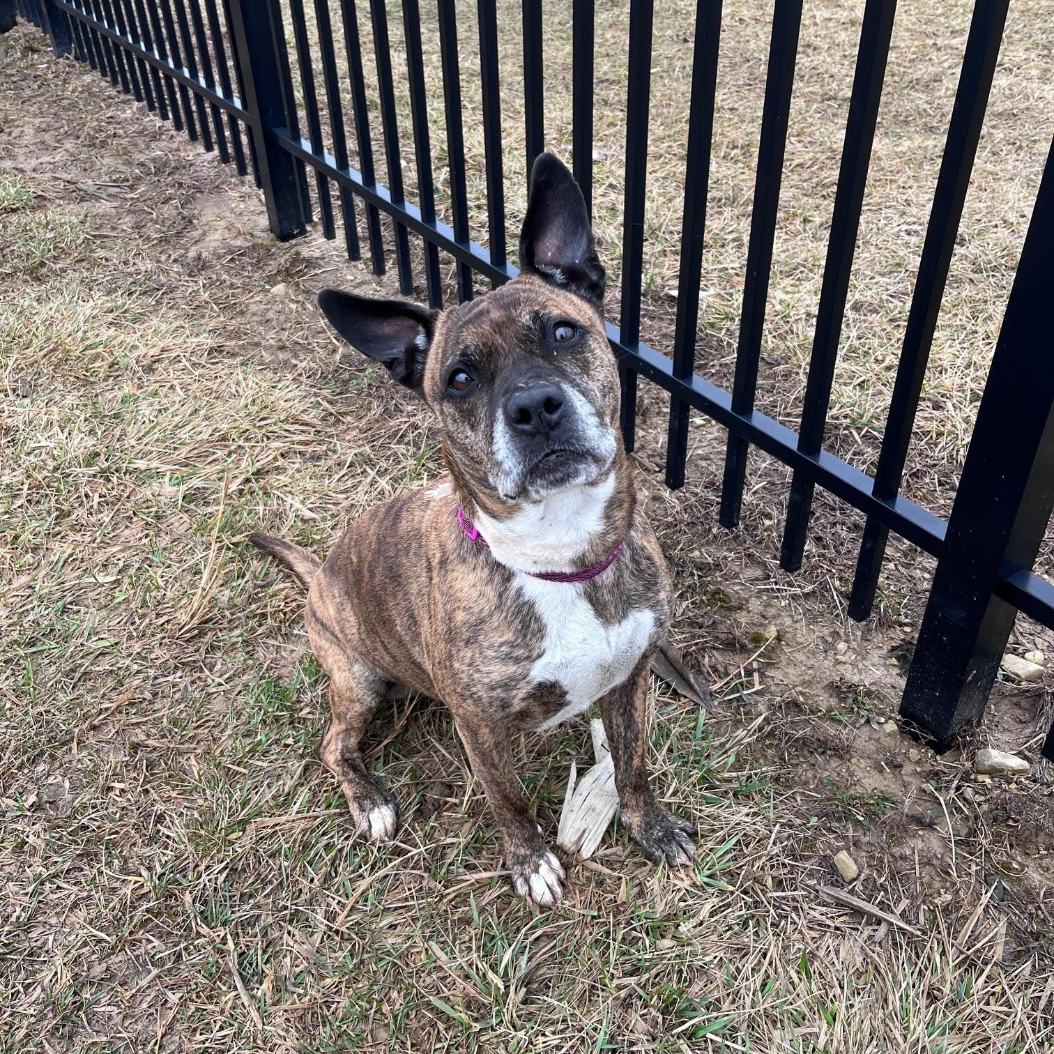 Mija (Me-Ha) — thumbnail 4