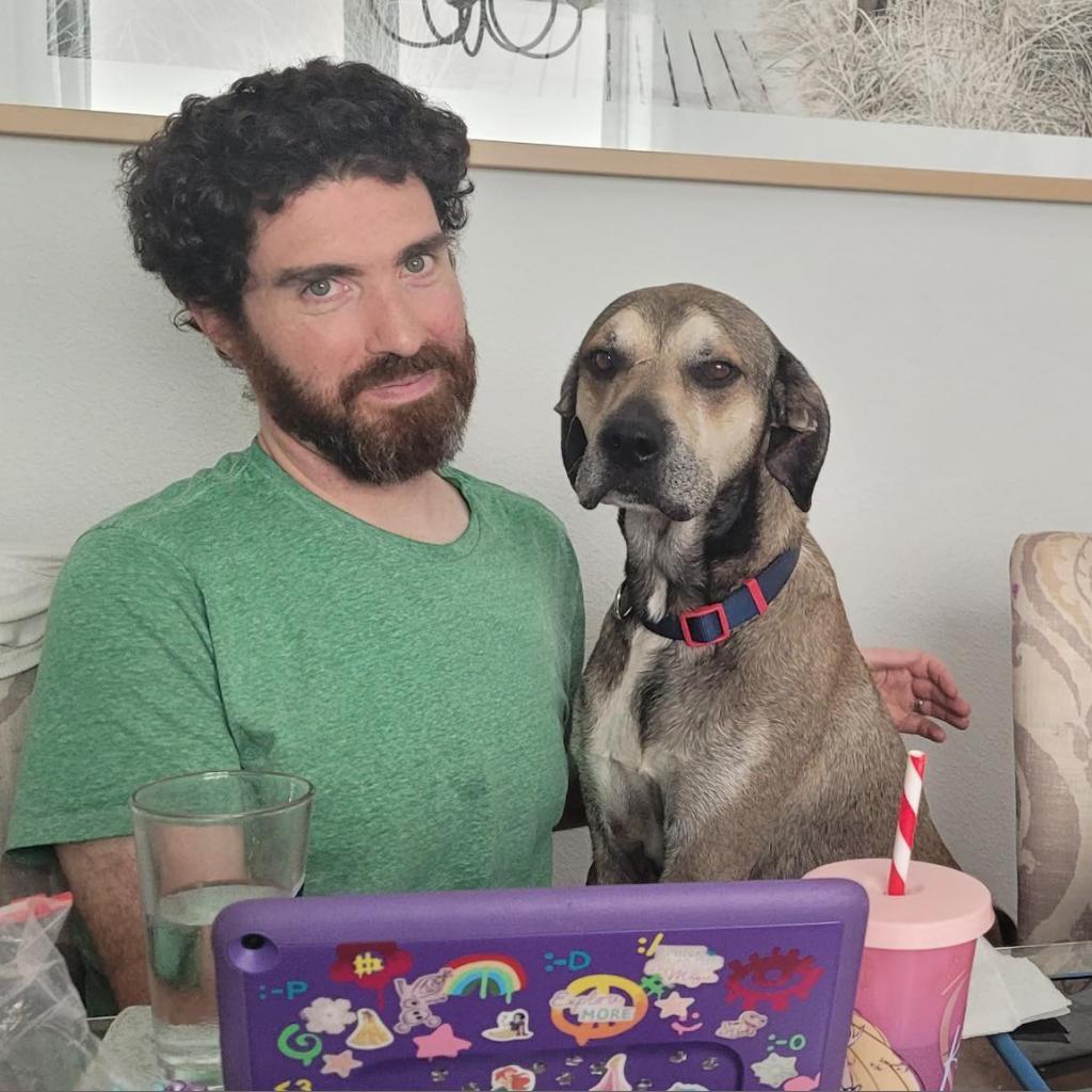 Enlarge Moe, a Adoptable Black Mouth Cur in Hollister, FL image 3/3