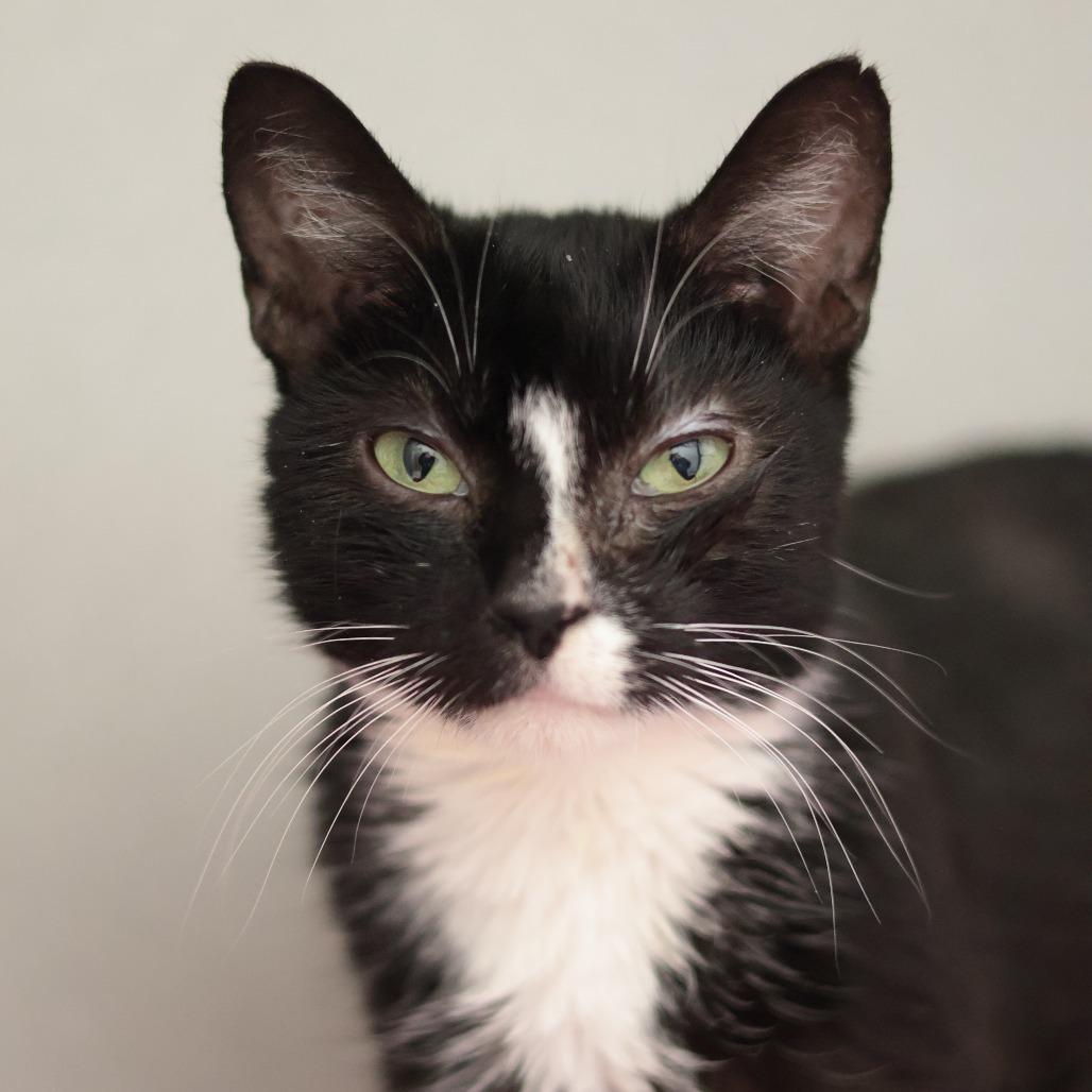 Nena — thumbnail 2