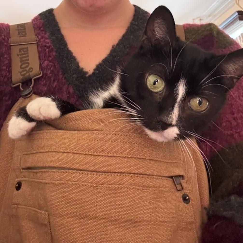 Nena — thumbnail 3