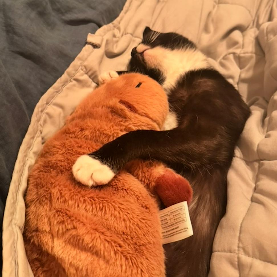 Nena — thumbnail 4