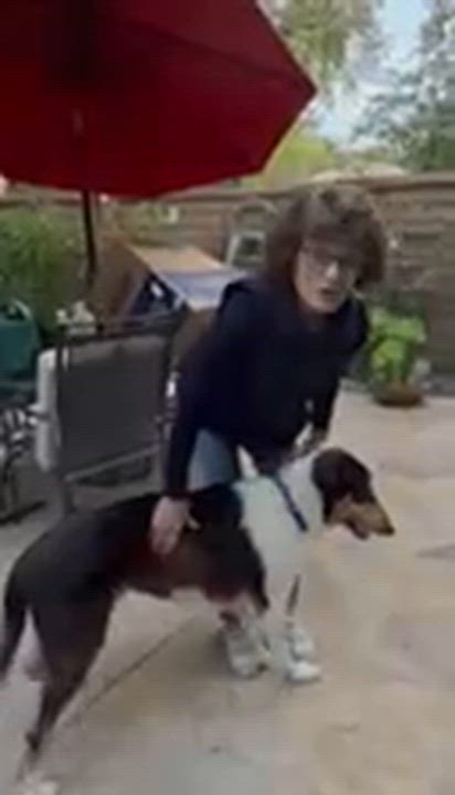 Enlarge Toby, an adopted Collie in Riverside, CA video 4/6