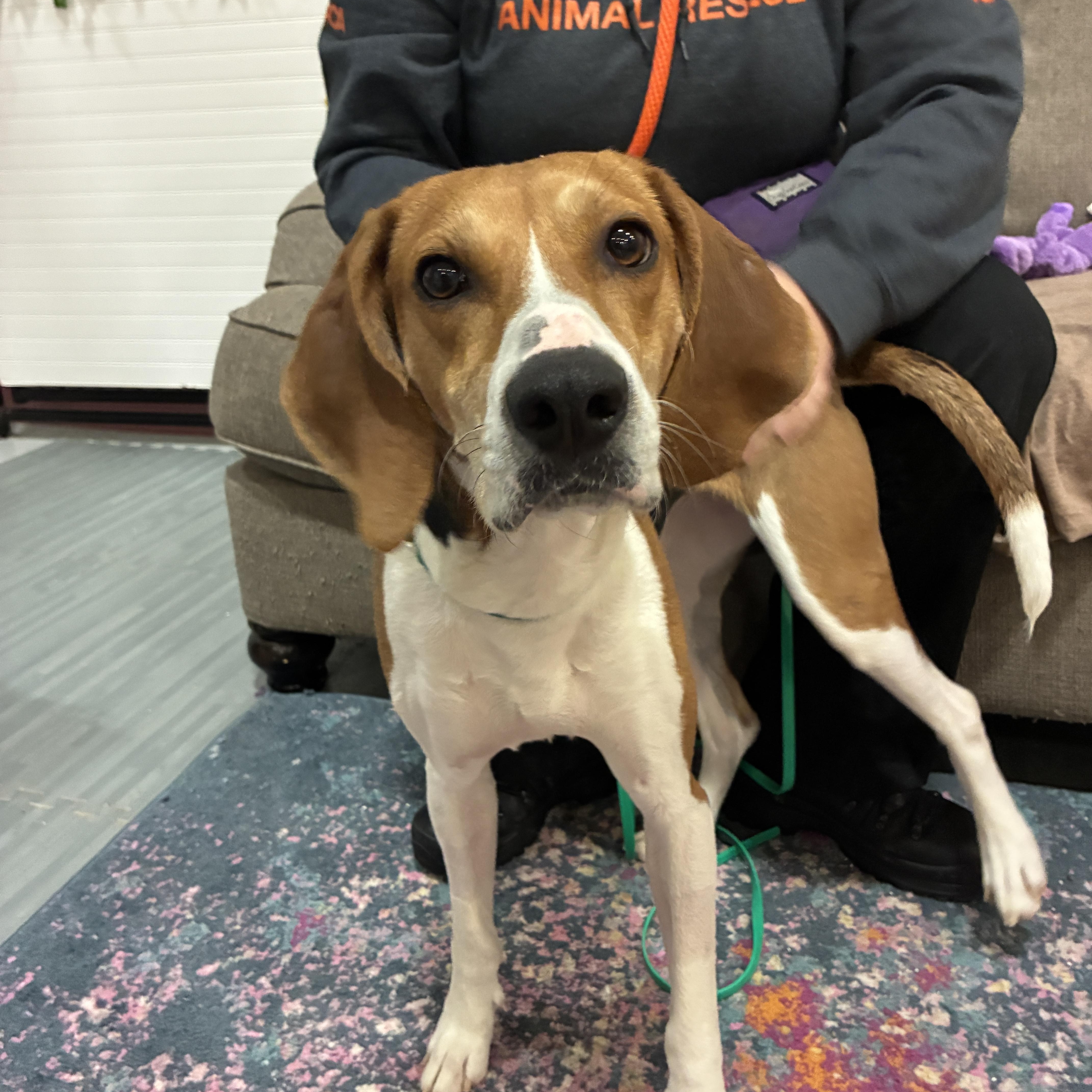 Francesca thumbnail 3