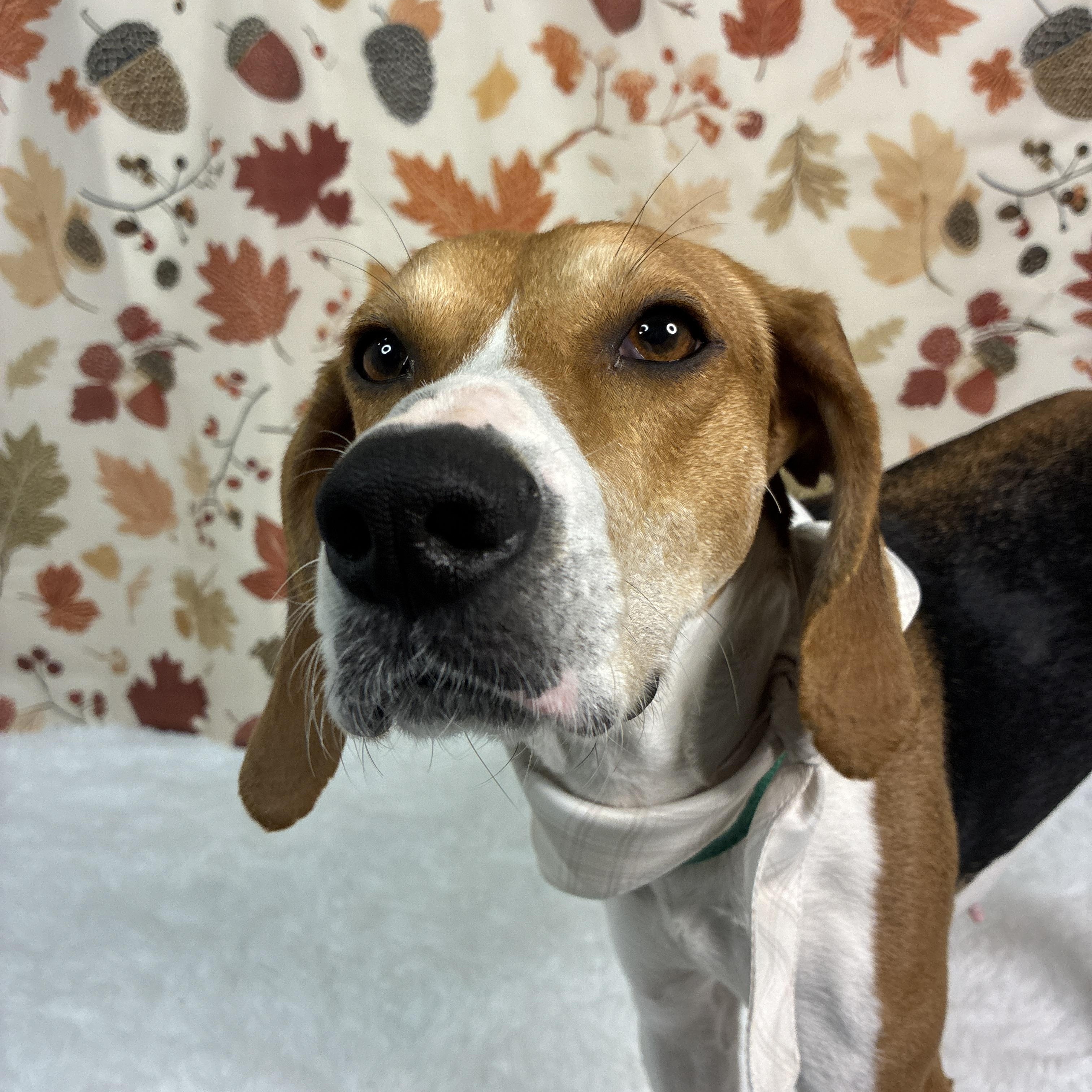 Francesca thumbnail 5