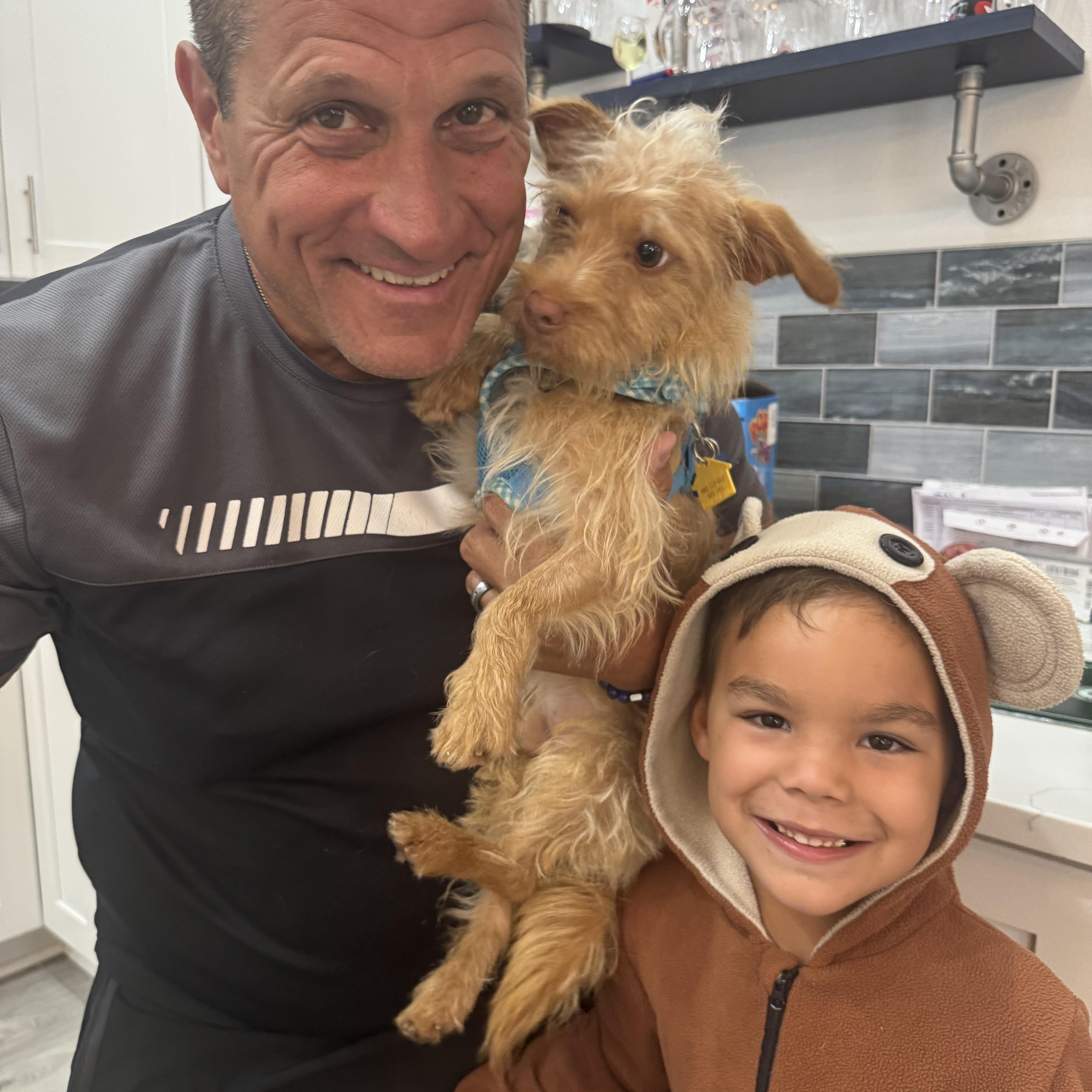 Enlarge Copper, an adopted Cairn Terrier in Lake Worth, FL image 4/5