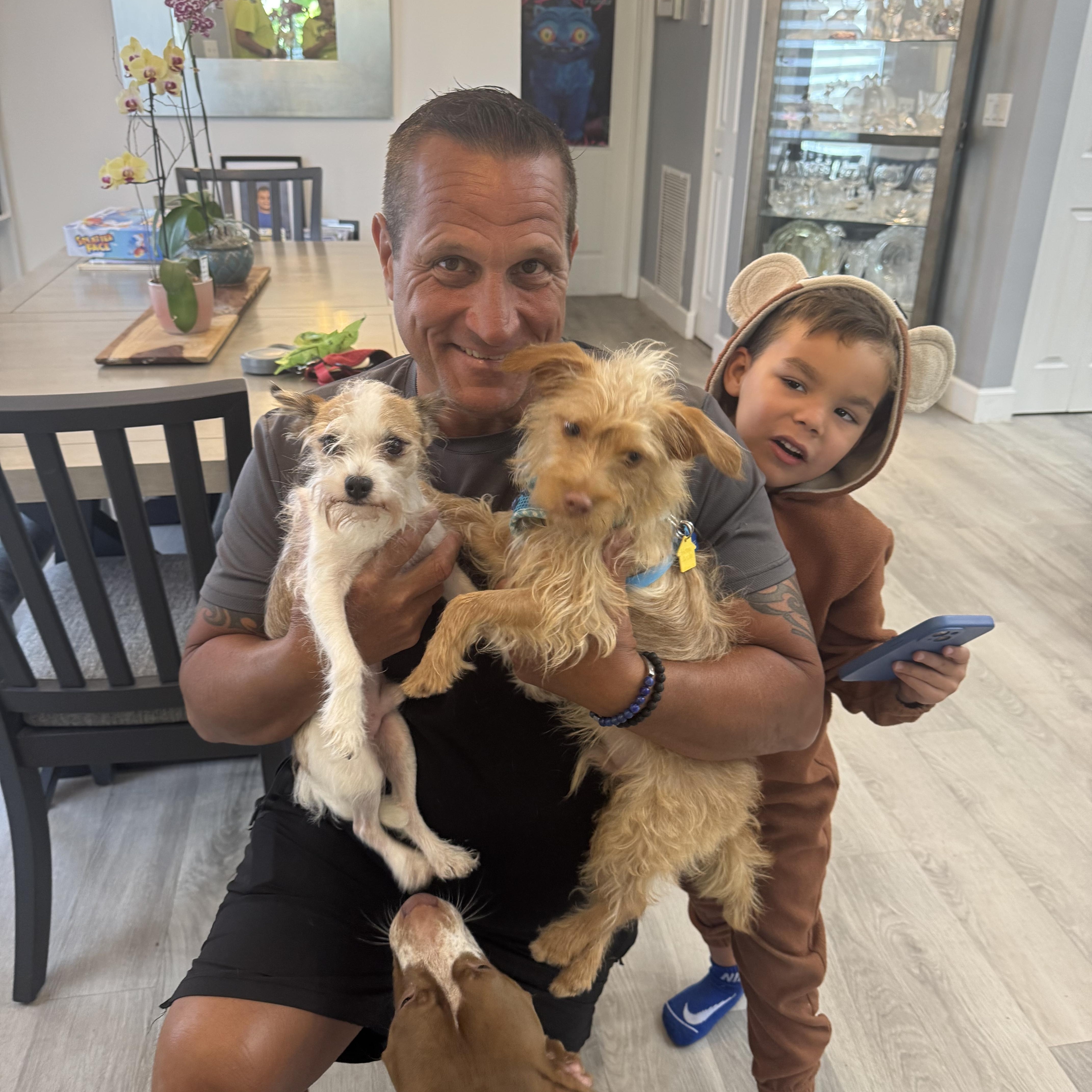 Enlarge Copper, an adopted Cairn Terrier in Lake Worth, FL image 3/5