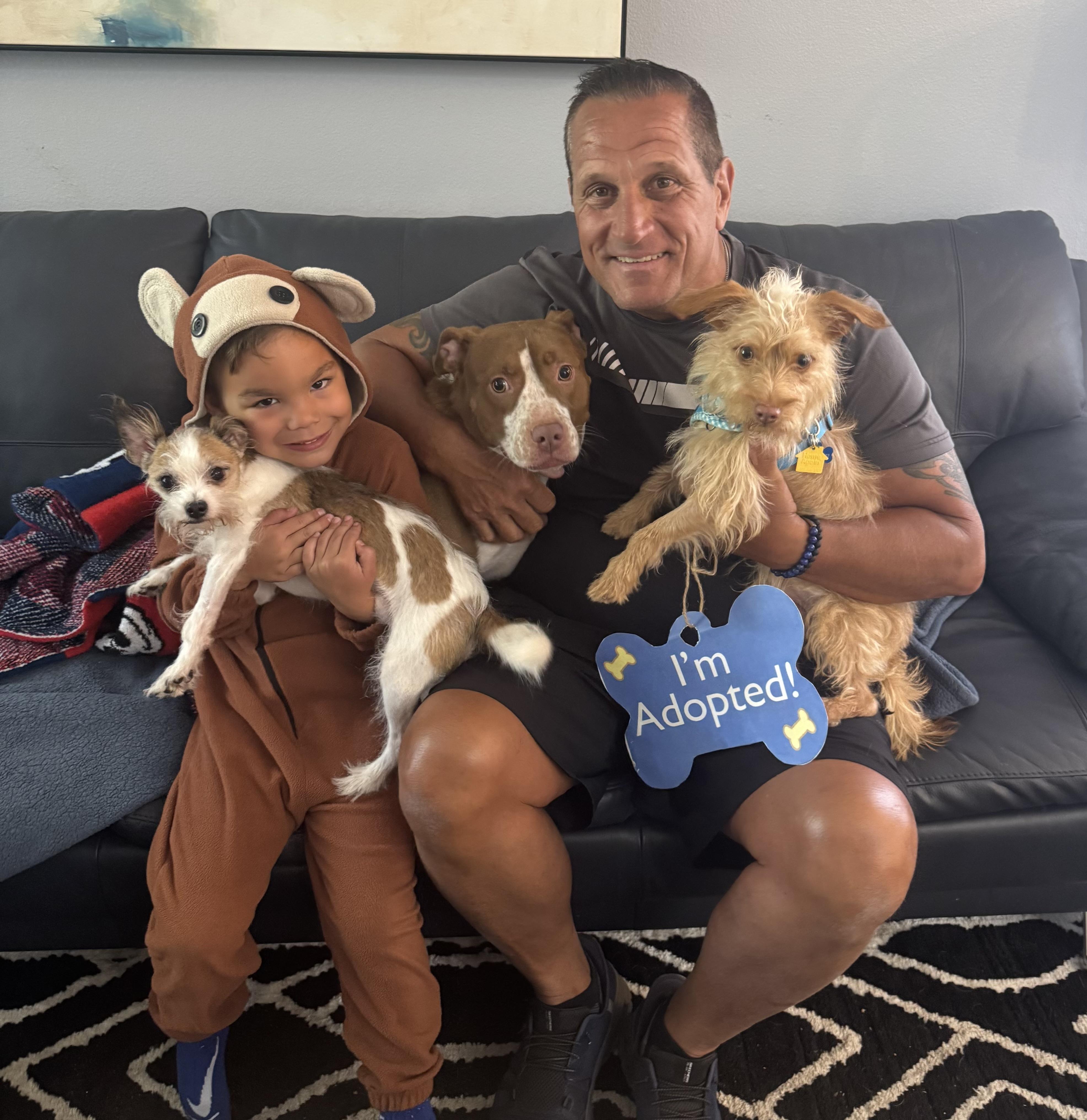 Enlarge Copper, an adopted Cairn Terrier in Lake Worth, FL image 5/5