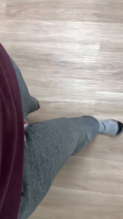 Enlarge Gingy, a ADOPTABLE Domestic Short Hair in Langley, BC video 3/3