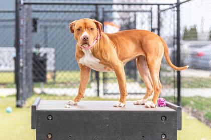 Auntie Anne — thumbnail 2