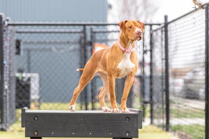 Auntie Anne — thumbnail 3