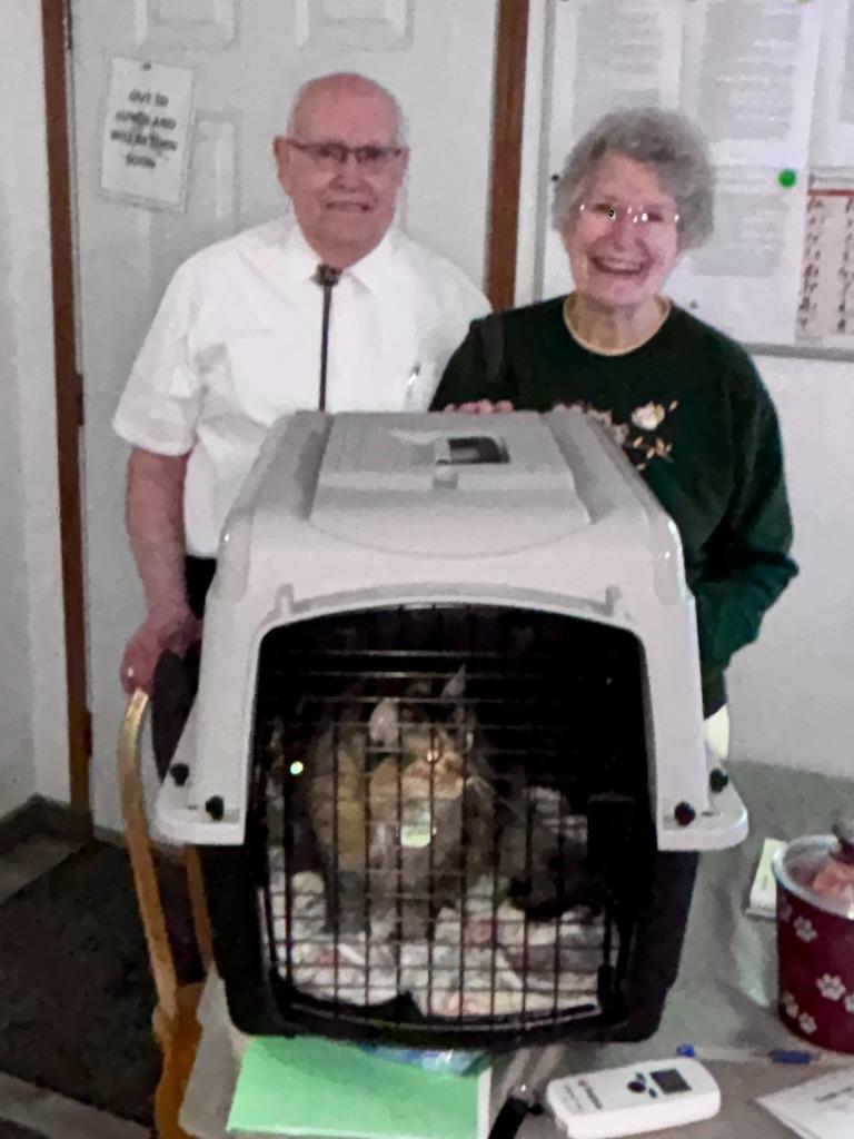 Enlarge Neko, a Adoptable mixed breed in Thompson Falls, MT image 2/2