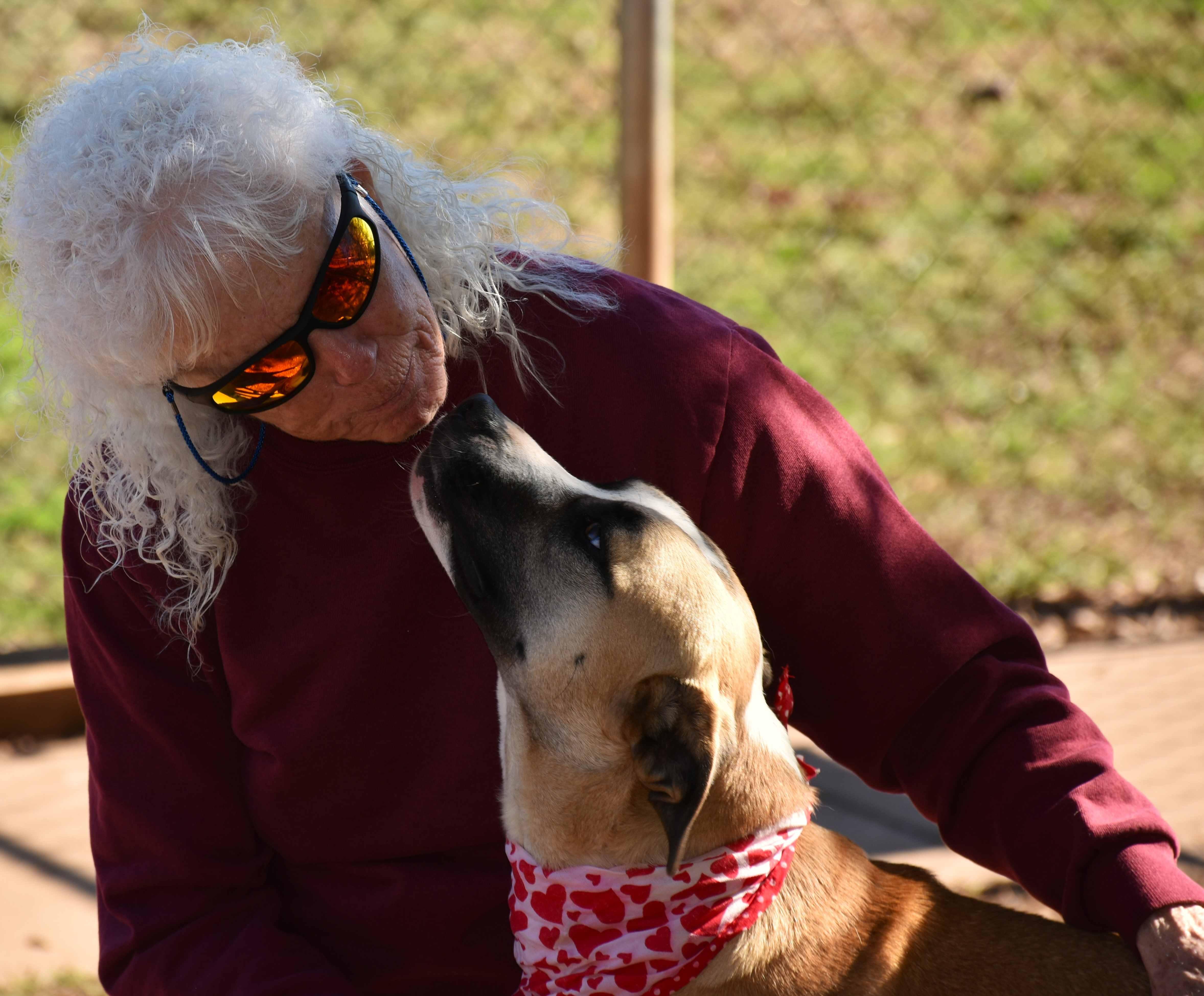 Jayla, a Adoptable mixed breed in Wedowee, AL image 6/6