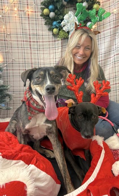 Enlarge Tuff, a Adoptable mixed breed in Palm Coast, FL image 1/3