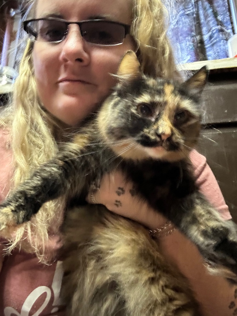 Twin, Adopted, Young Female Tortoiseshell.