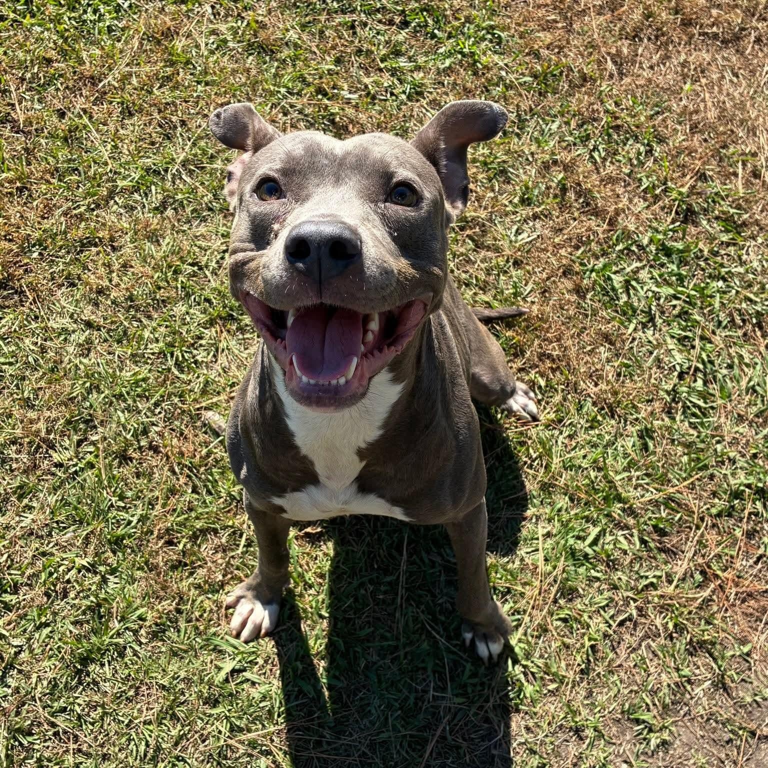 Ash - in foster home