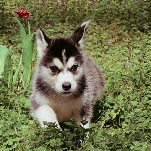 Carter photo 3