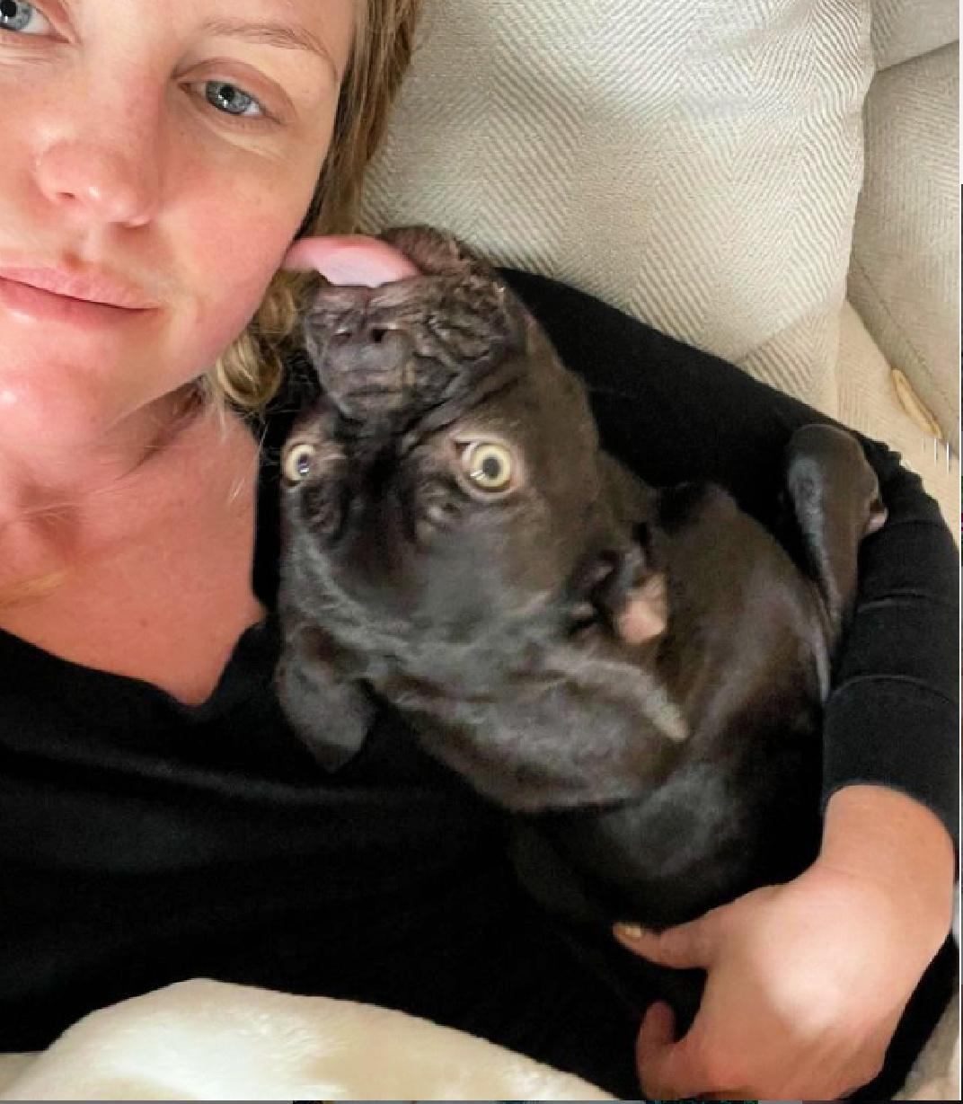 Enlarge Emmy loves to cuddle, a ADOPTABLE French Bulldog in Redondo Beach, CA image 5/6