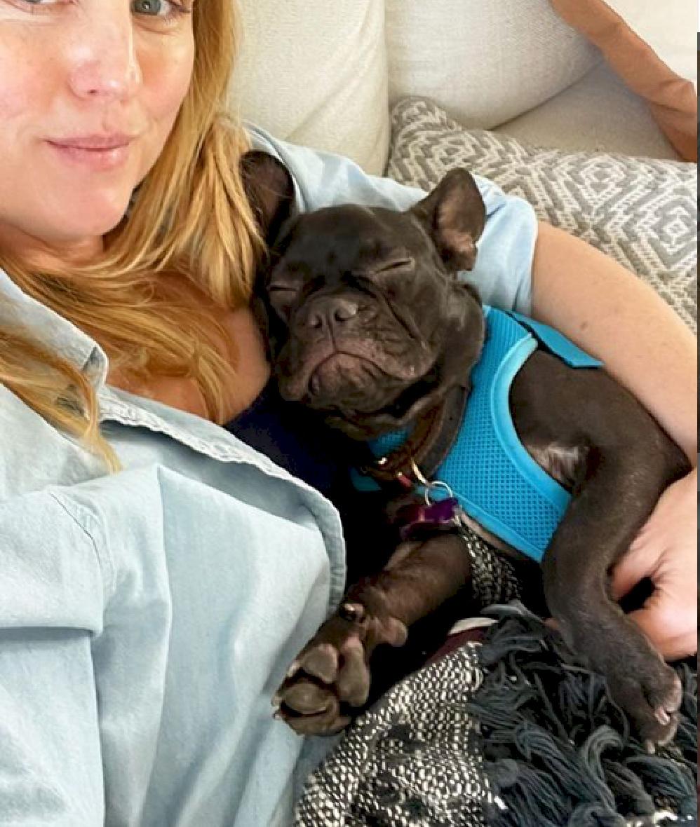 Enlarge Emmy loves to cuddle, a ADOPTABLE French Bulldog in Redondo Beach, CA image 3/6