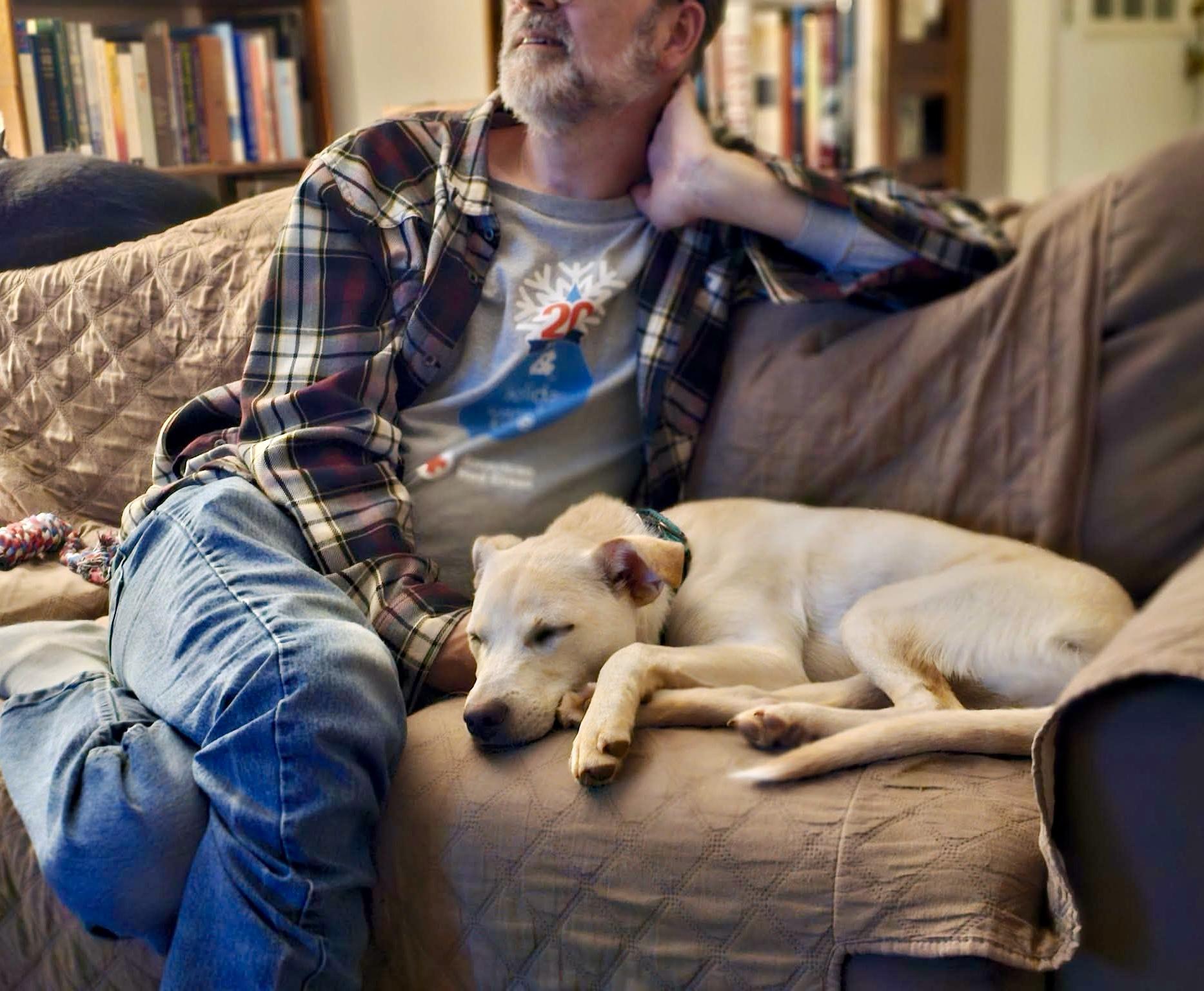 Enlarge Demi, a Adoptable mixed breed in Pittsboro, NC image 5/6