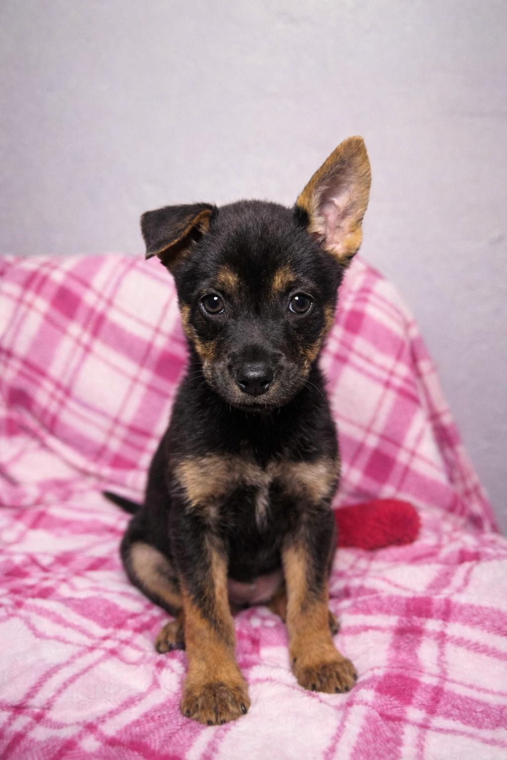 Serene Galaxy — thumbnail 3