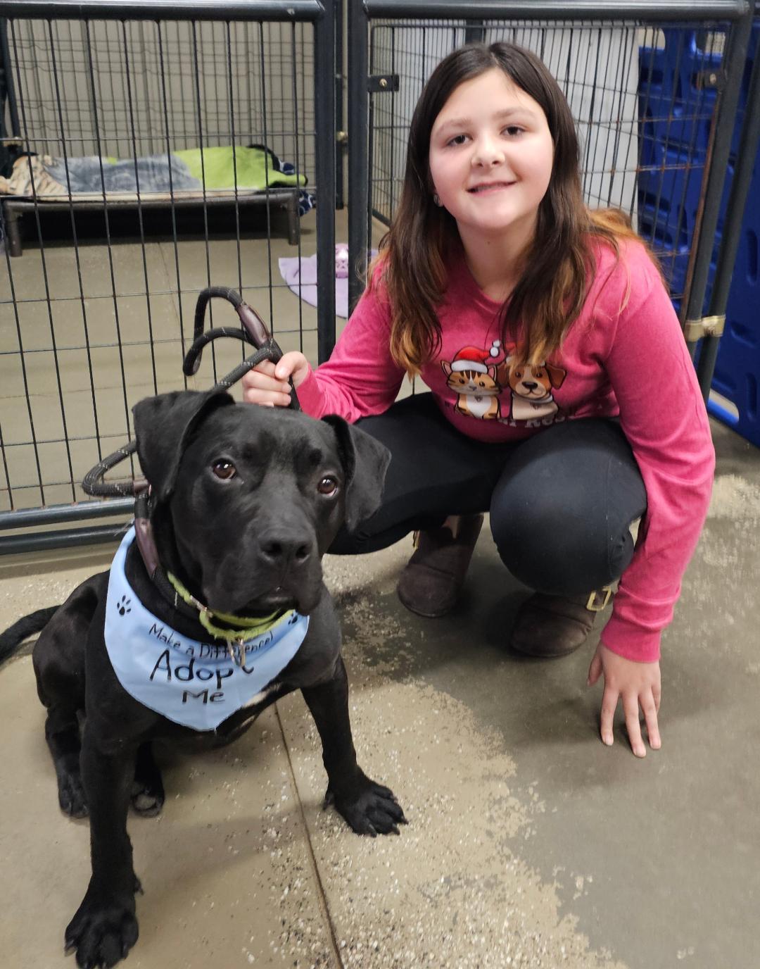 Orville, a ADOPTABLE mixed breed in Lapeer, MI image 6/6