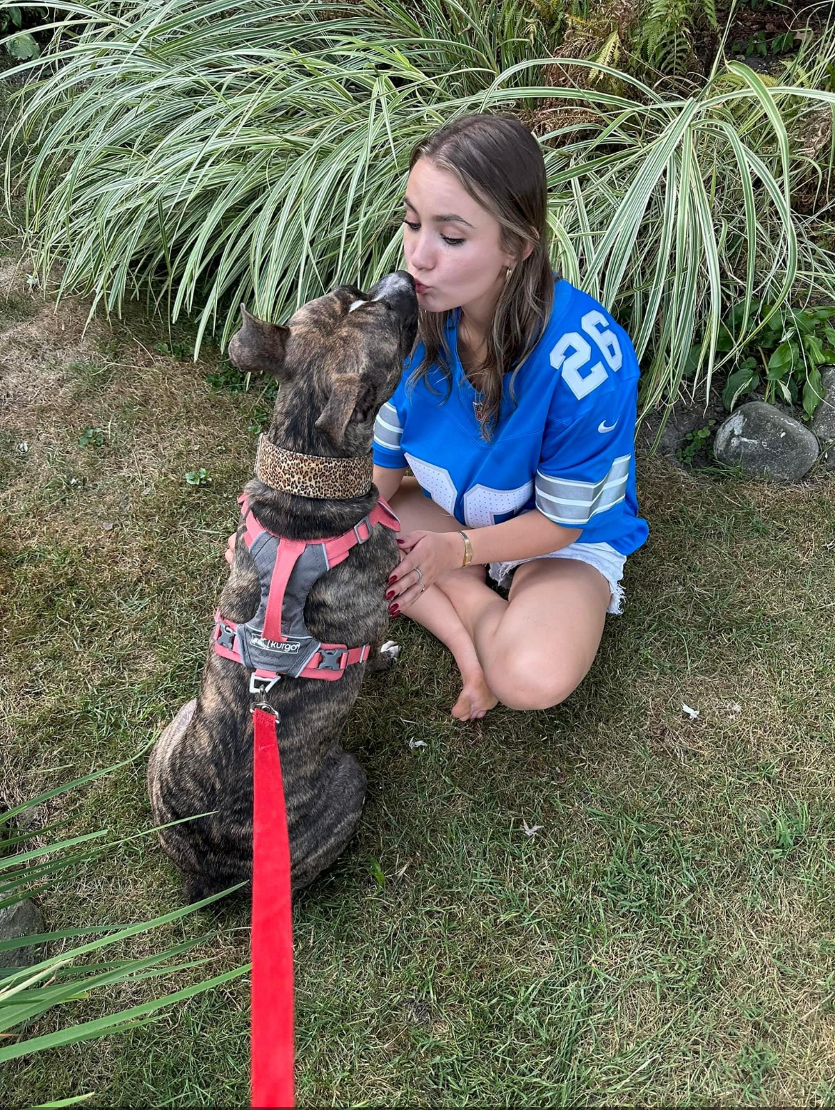 Vixie, a Adoptable mixed breed in Pleasant Ridge, MI image 4/6