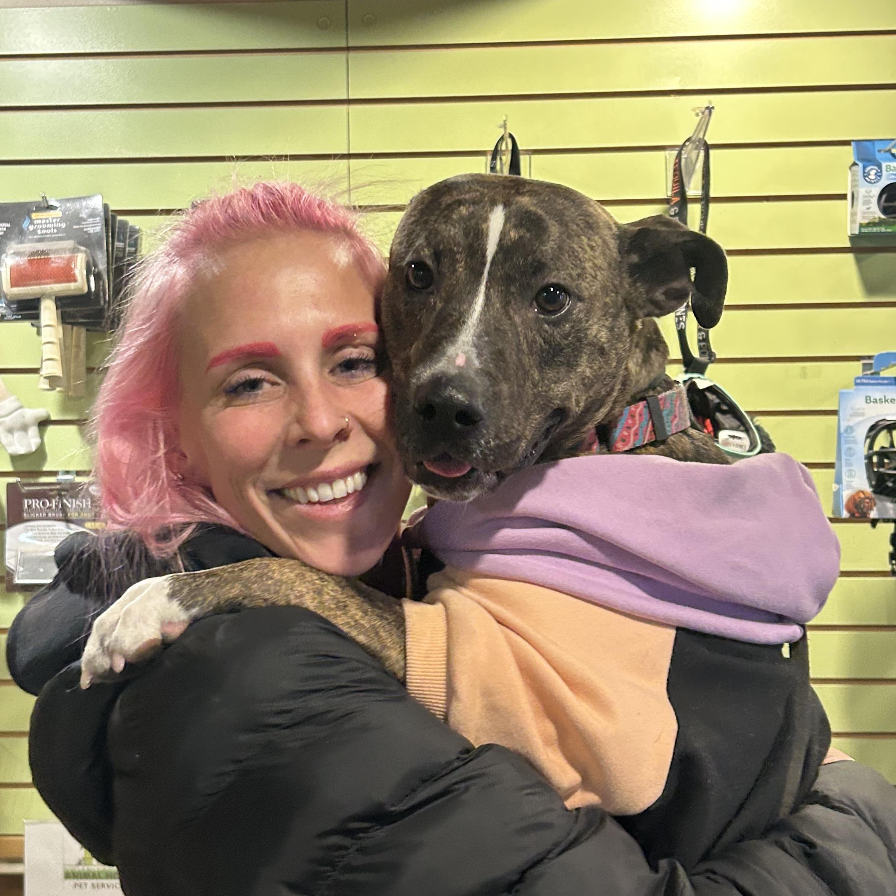 Vixie, a Adoptable mixed breed in Pleasant Ridge, MI image 3/6