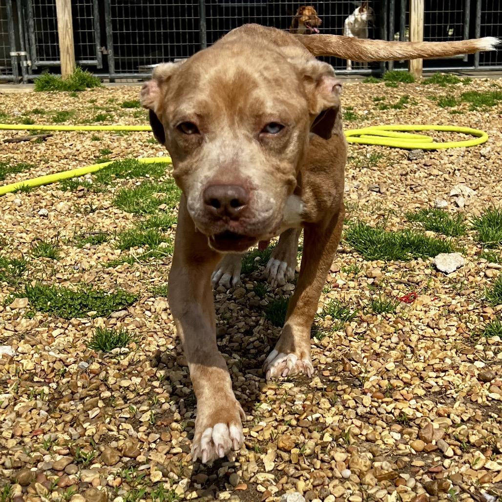 Chloe — thumbnail 2