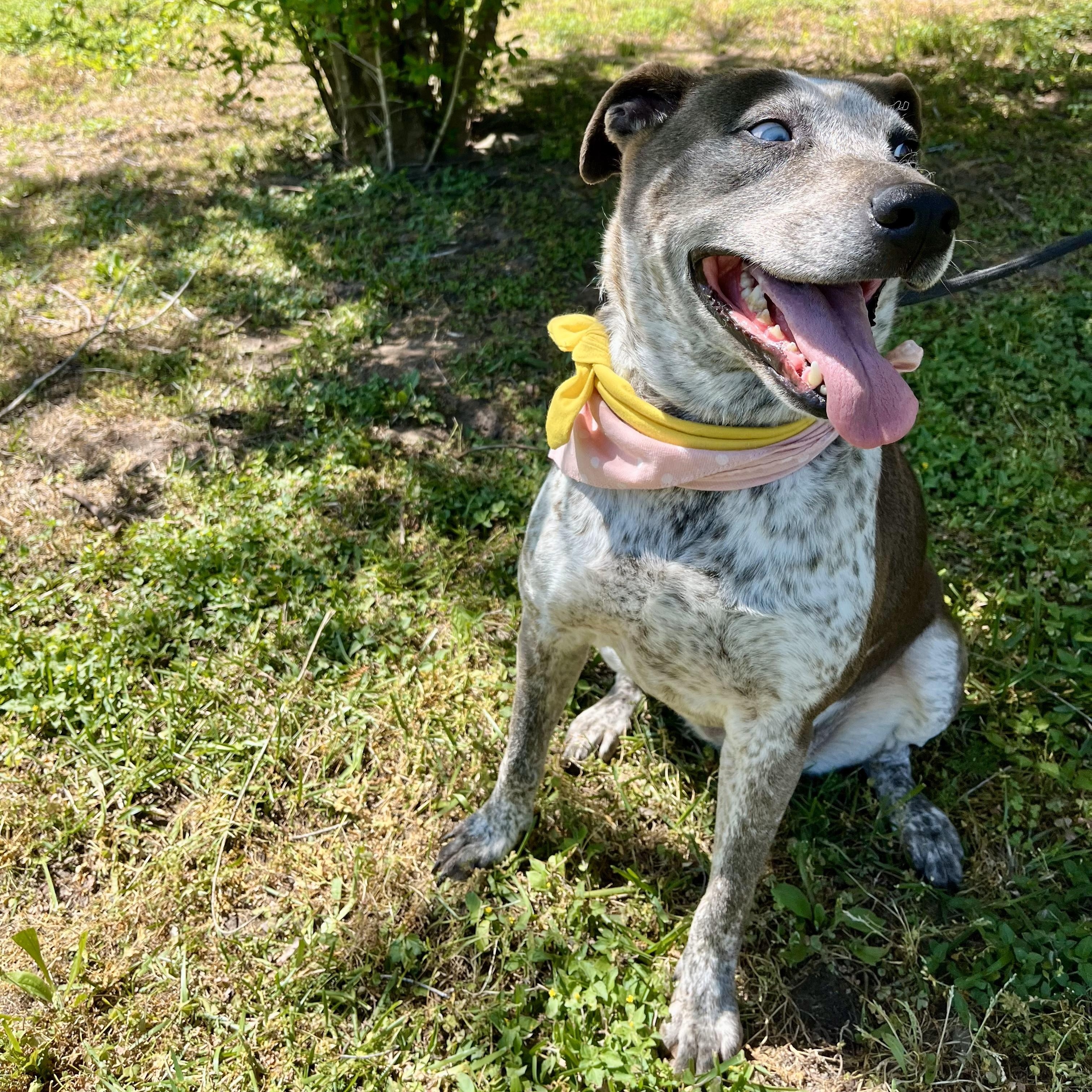 Nezuko Kamado — thumbnail 3