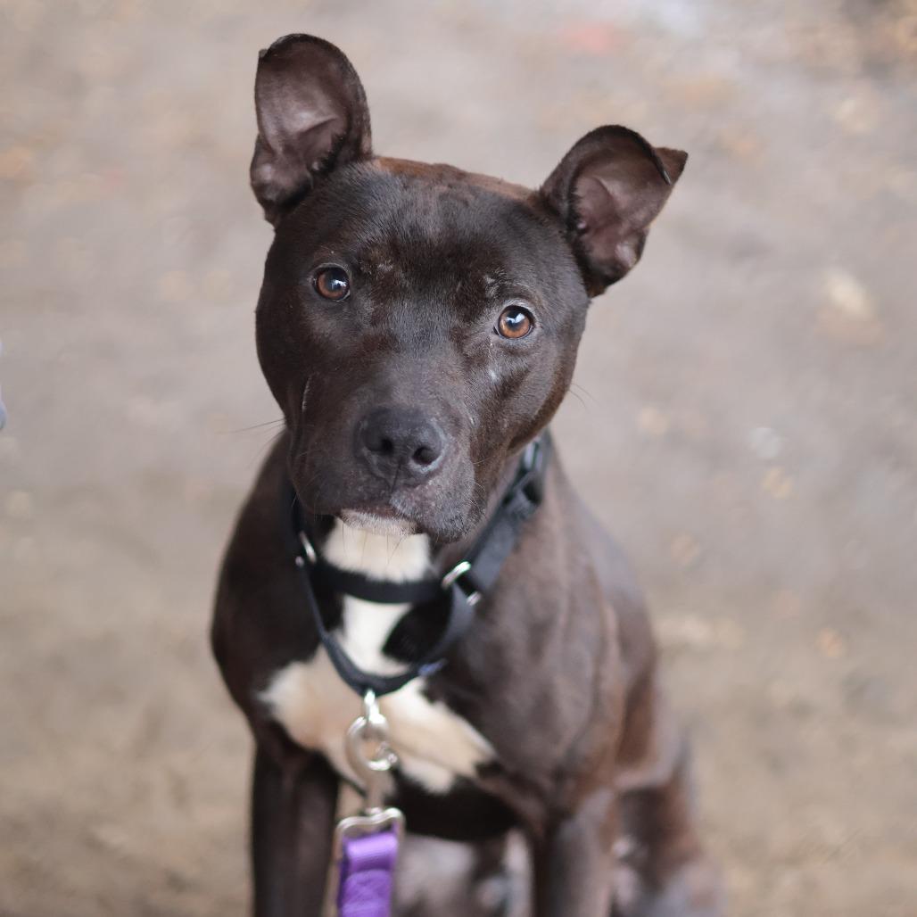 Chuck — thumbnail 5