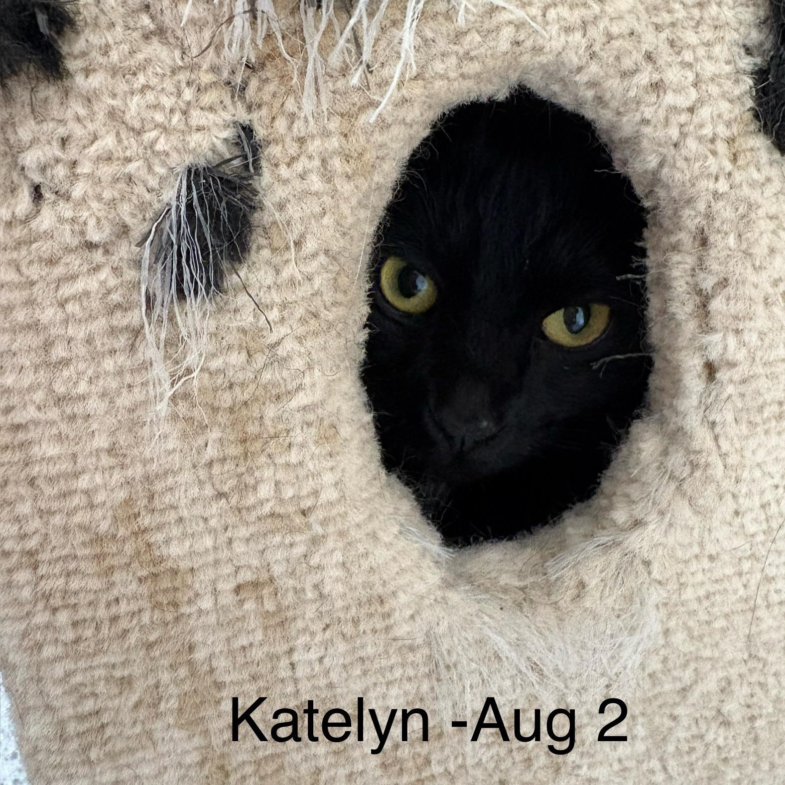 Katelyn 2