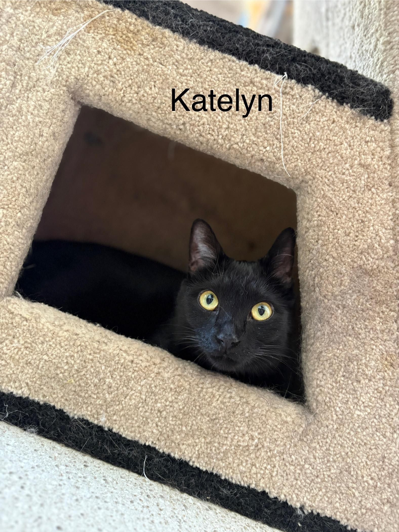 Katelyn