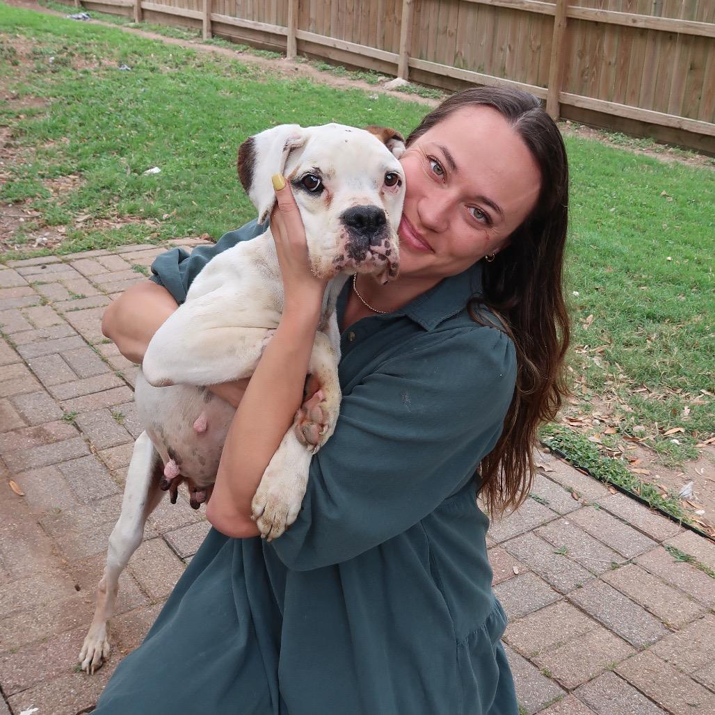 Pretty Lady, a Adoptable mixed breed in Pearland, TX image 5/6