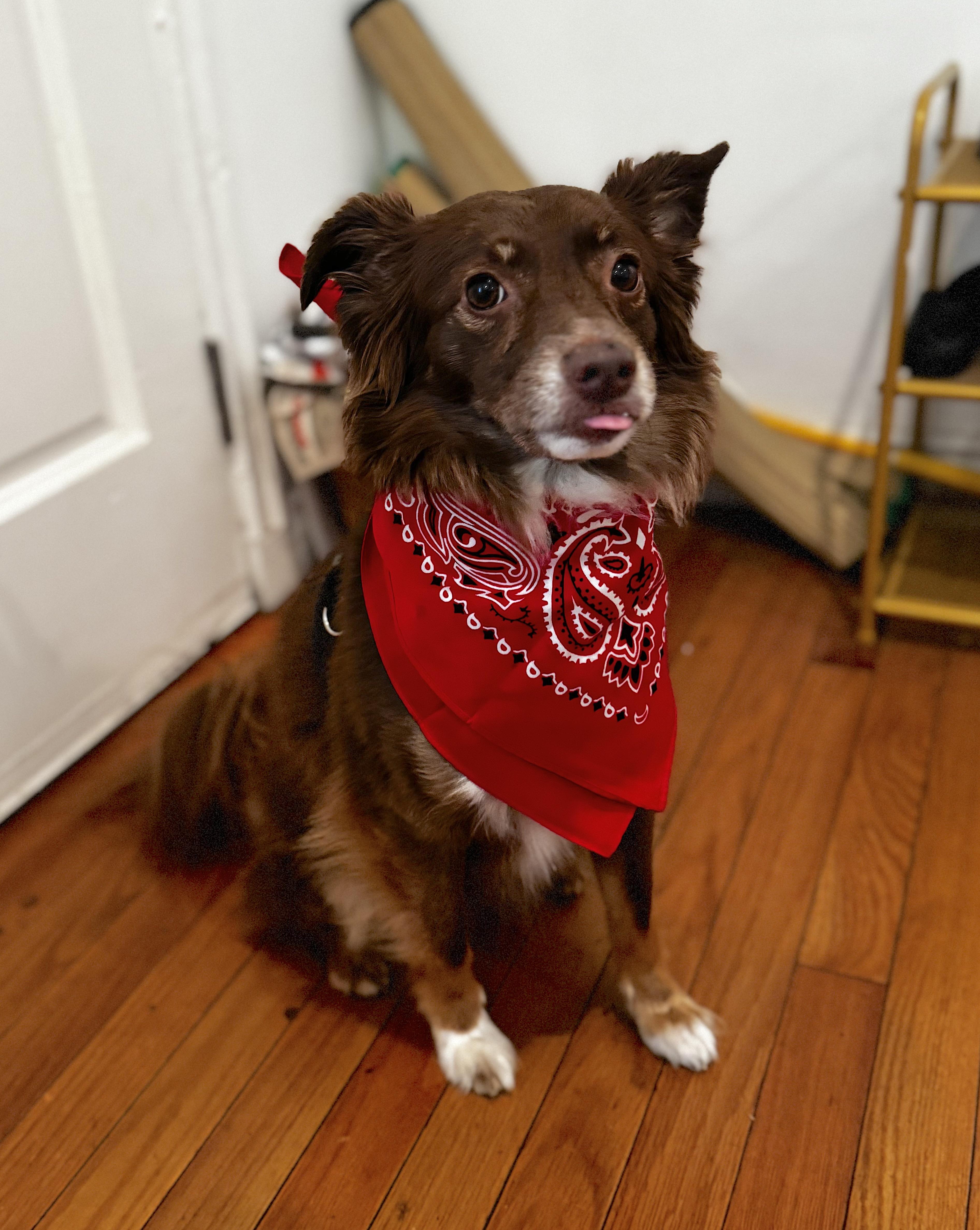 Claire — thumbnail 5