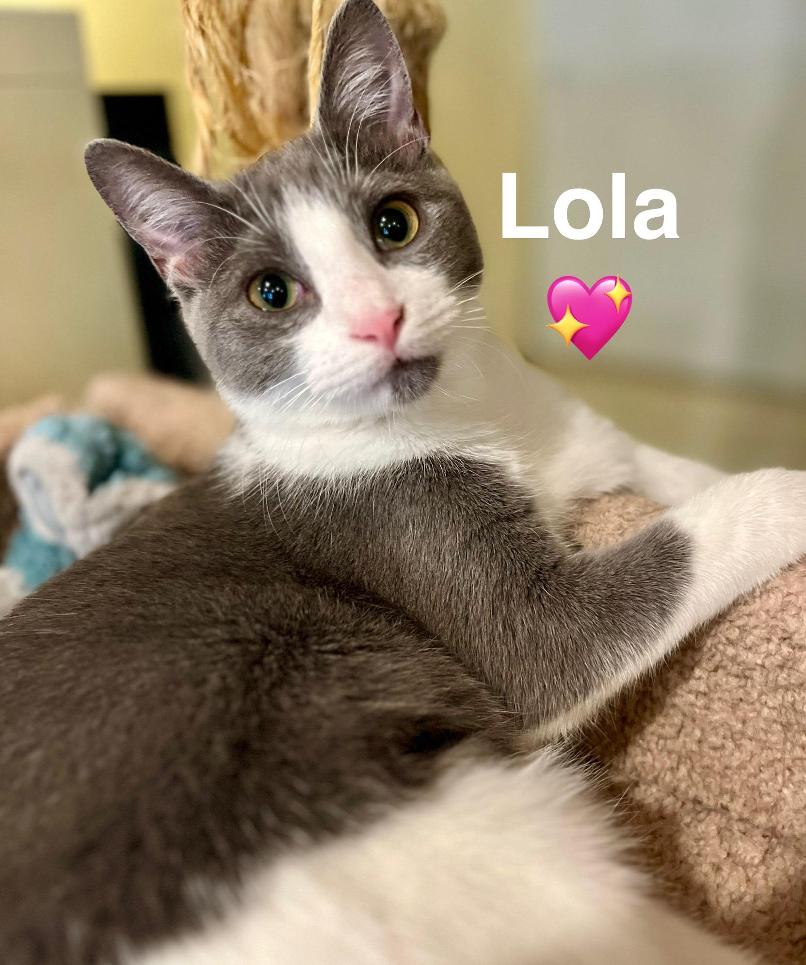 Lola