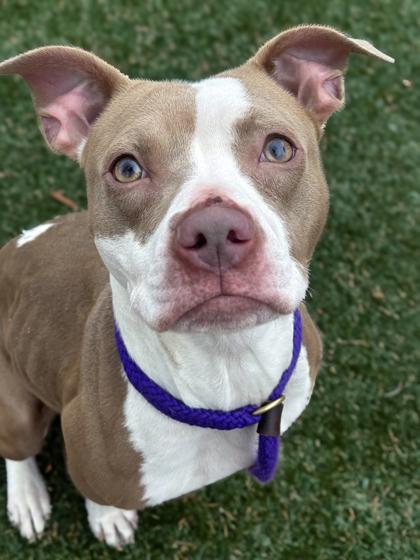 Marsha — thumbnail 2