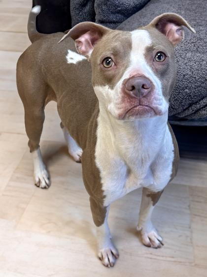 Marsha — thumbnail 3