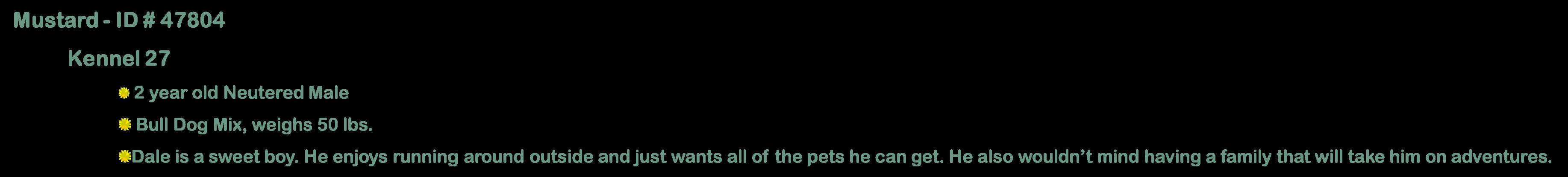 Enlarge Ketchup, an adopted mixed breed in Suffolk, VA image 2/3