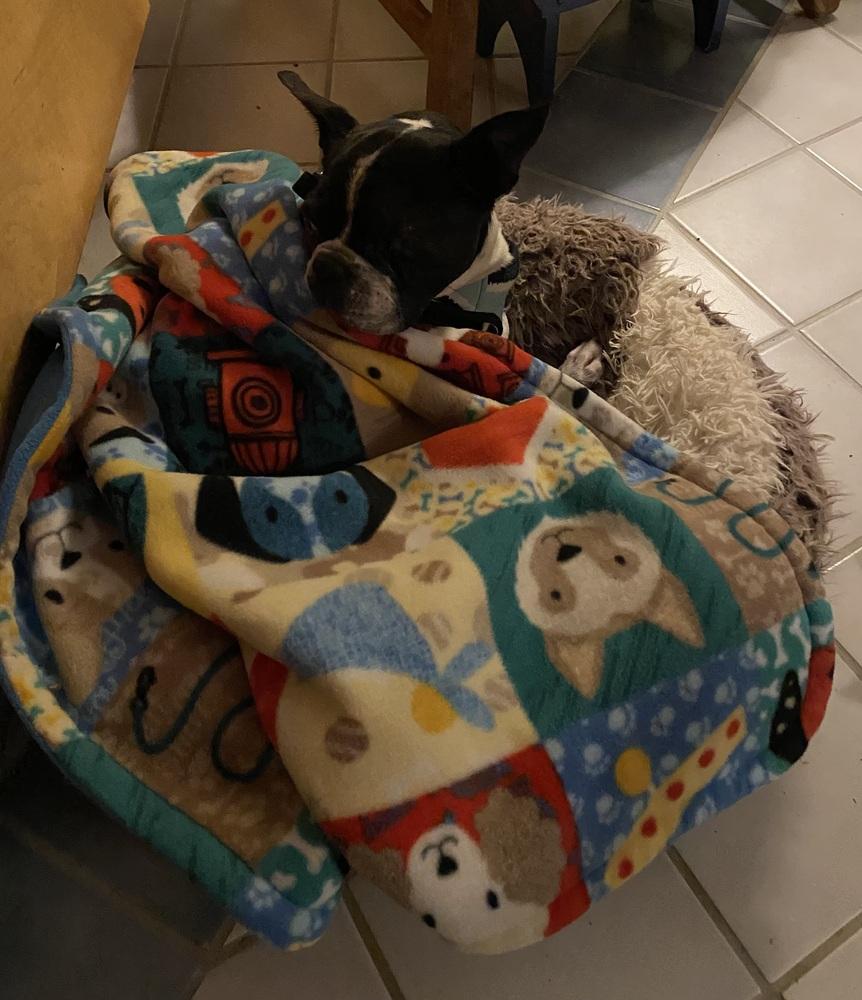 Mickie Mackie Ky thumbnail 2