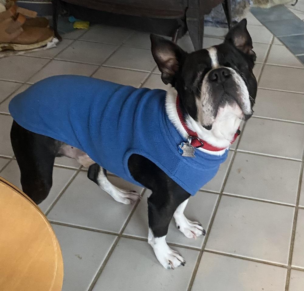 Mickie Mackie Ky thumbnail 4