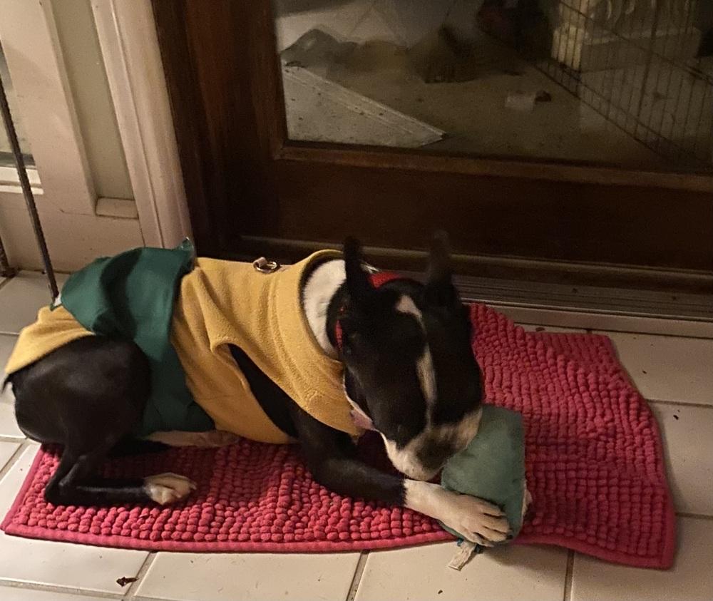 Mickie Mackie Ky thumbnail 5