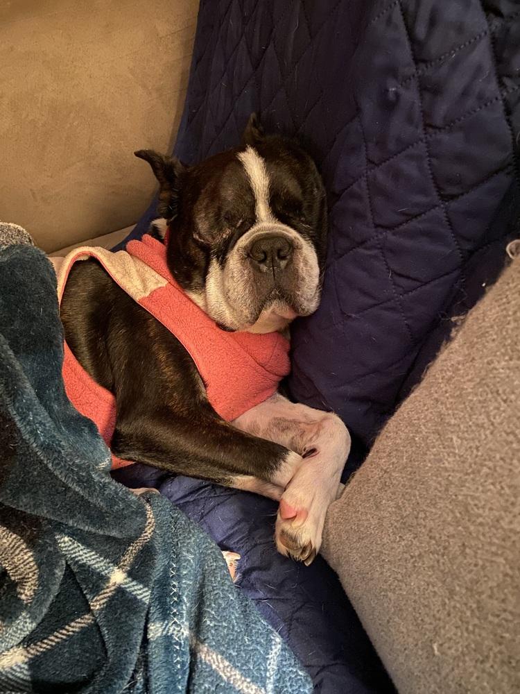 Mickie Mackie Ky thumbnail 6