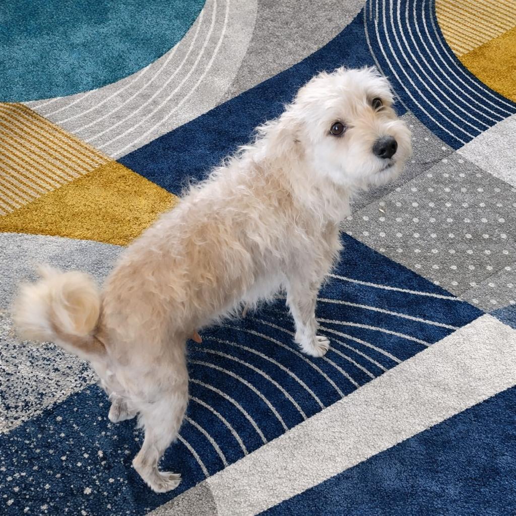 Laverne — thumbnail 2