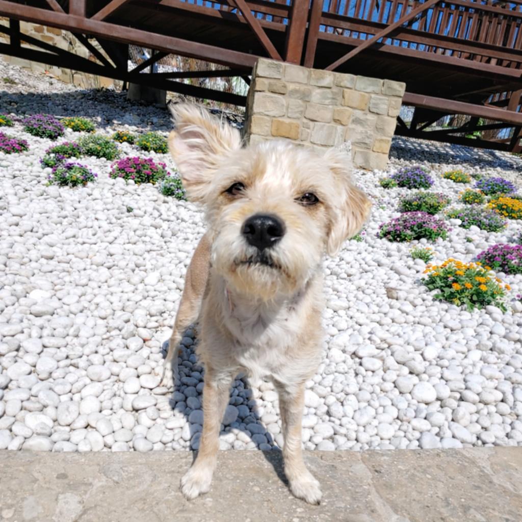 Laverne — thumbnail 4