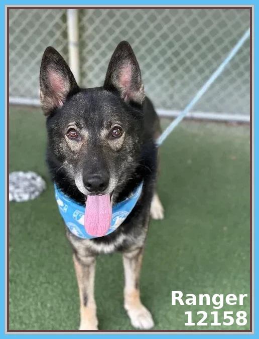 RANGER