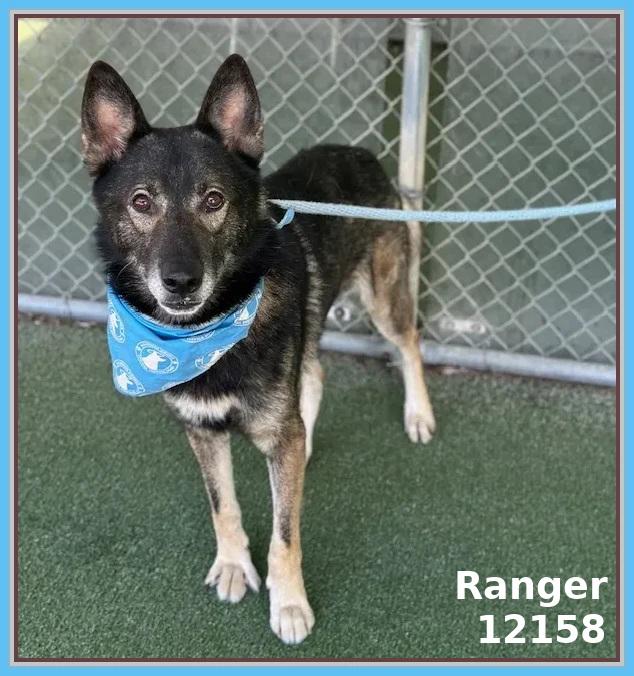 RANGER
