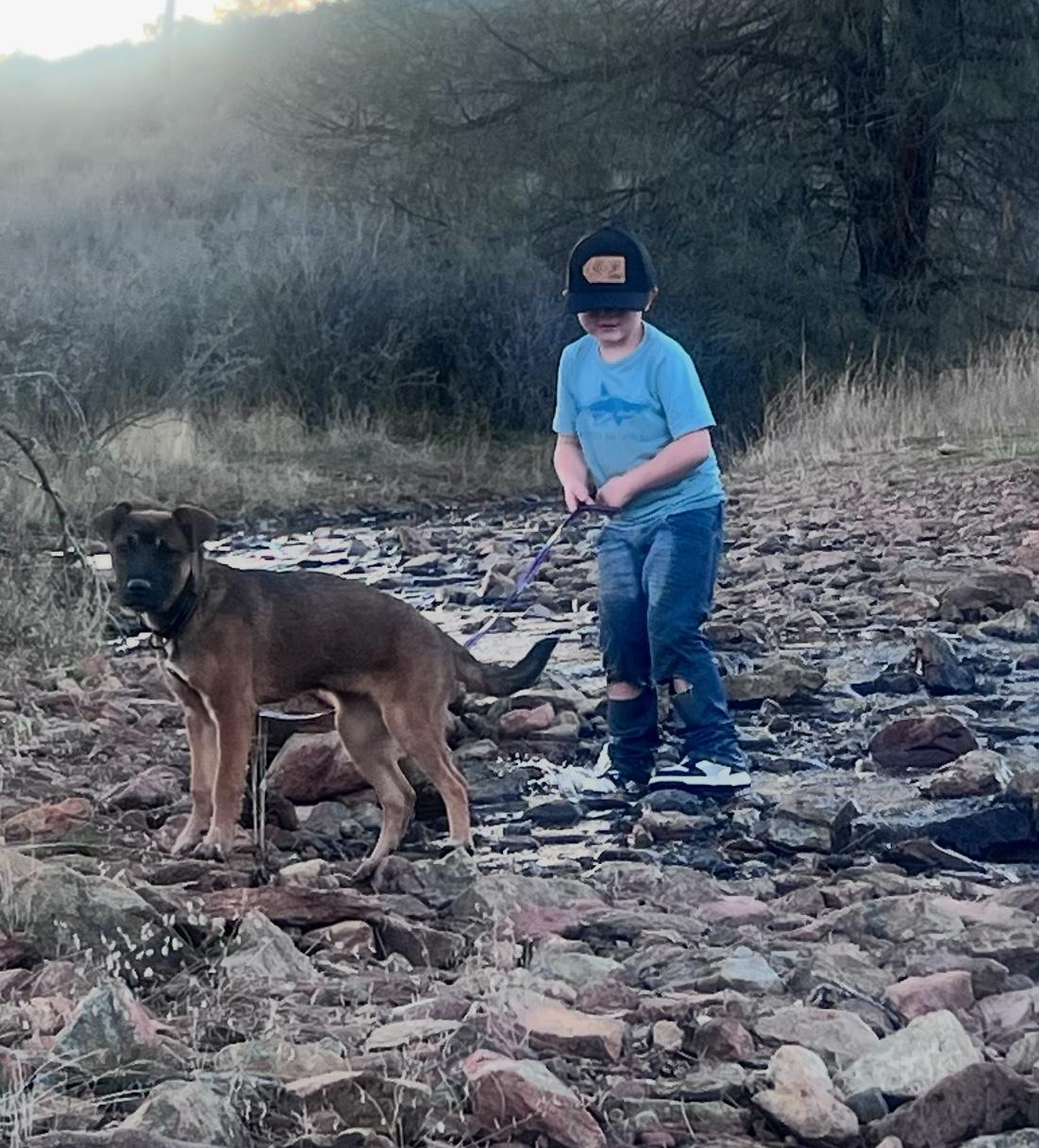 Enlarge Autumn 0124, a Adoptable mixed breed in Sonora, CA image 6/6