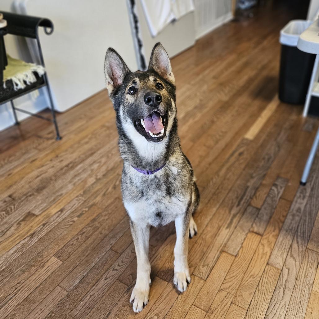 Origami 26-010 — thumbnail 5