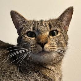 Ramona — thumbnail 3