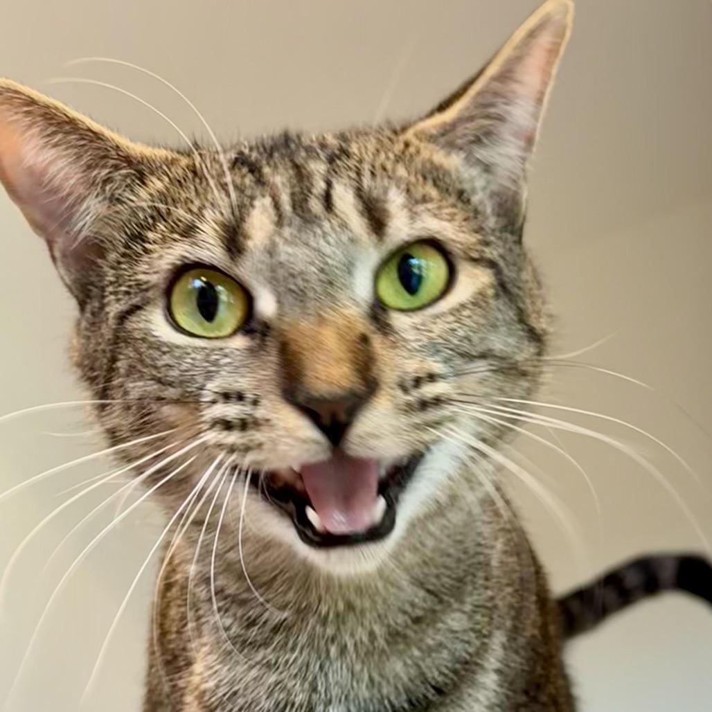 Ramona — thumbnail 4